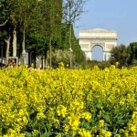 Les Champs-Elysées ont été transformés en un immense jardin dans le cadre de l'opération « Nature capitale » le 23 mai 2010 à Paris