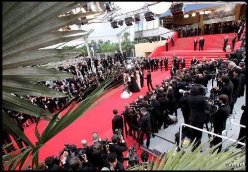 Festival de Cannes 2011