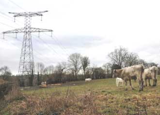 Ligne à très haute tension (AFP)