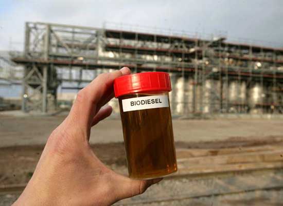 biodiesel
