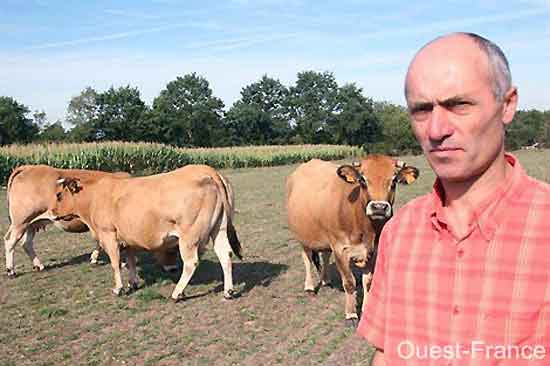 la Viande malgré la crise