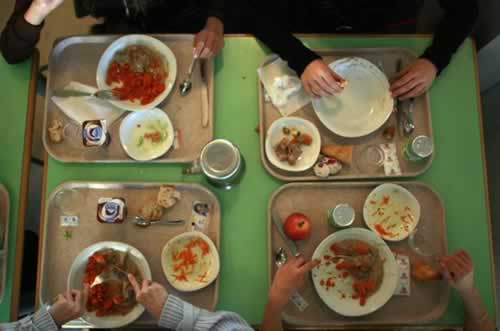 Substances toxiques alimentaires