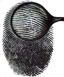 identite-et-identification