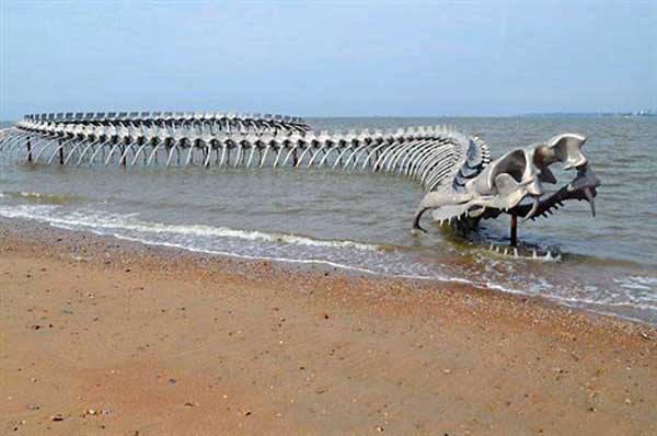 Nantes - les mondes marins