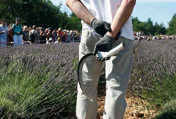 Tourisme en Provence Tourisme en Provence