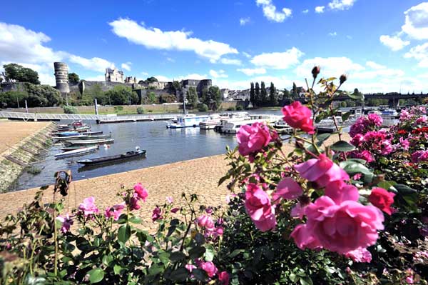 Bords de Maine-Basse  à Angers - [ Angers Loire Tourisme ]